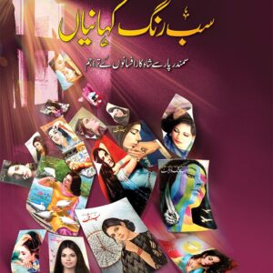 SAB RANG KAHANIYAN (VOL 2) <br> سب رنگ کہانیاں (والیم 2)